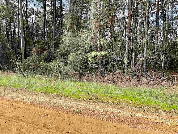 4th image of Tbd Sneads Dr