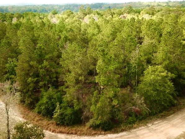 County Road 2310, Woodville, TX 75979