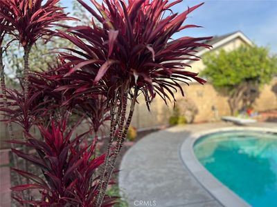 6849 Whitman Dr, Buena Park, CA, 90620