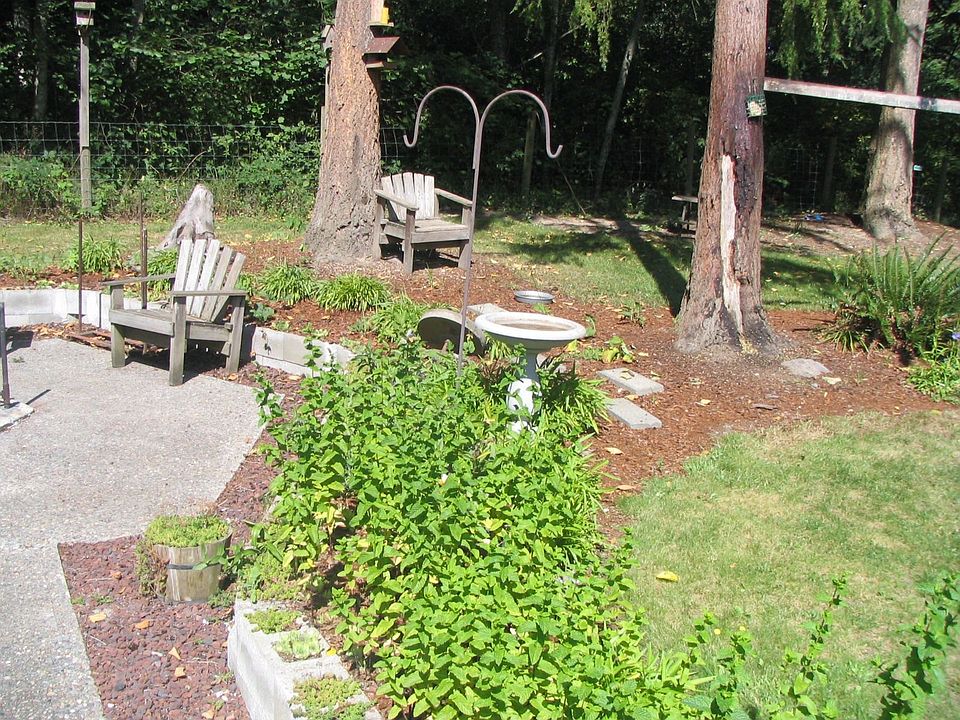 back yard