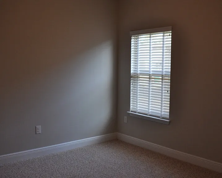 493 Cocobolo Dr — Photo 10