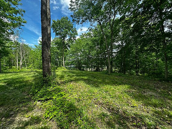 5th image of S Norris Rd