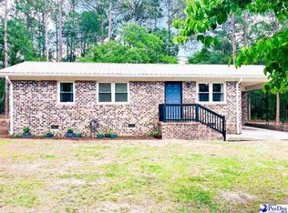 2134 Moccasin Bluff Rd, Hamer, SC 29547