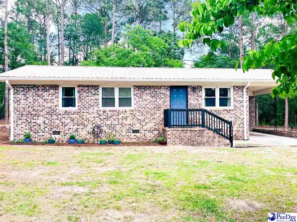 2134 Moccasin Bluff Rd, Hamer, SC 29547
