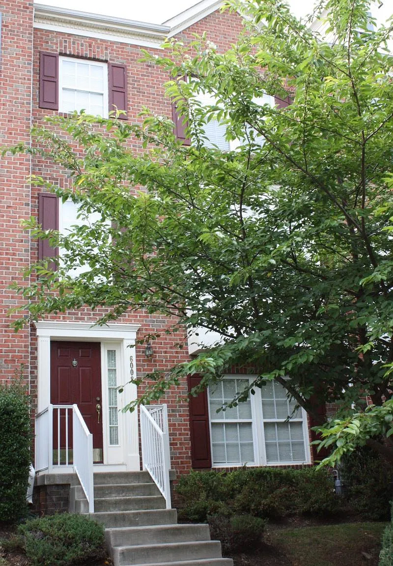 4 bed, 3.5 bath, 1980 sqft, $3,200 — Photo 1