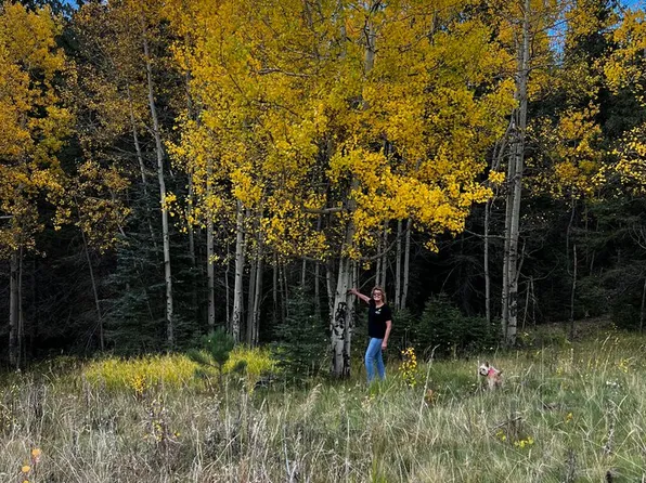 0 Hell Canyon Rd, Estes Park, CO 80517