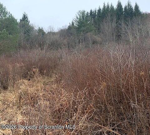5th image of Jackson Valley Rd