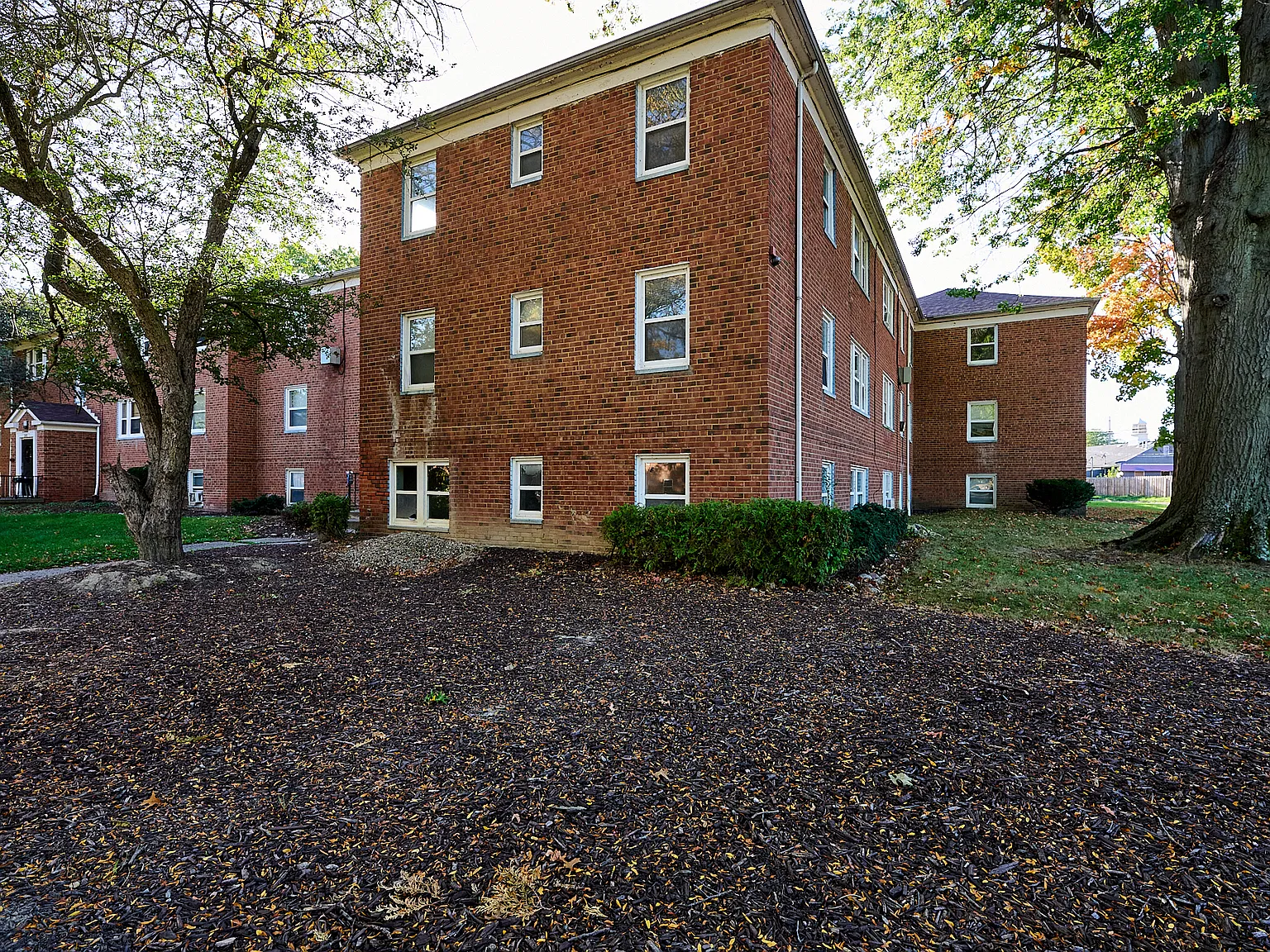 1 bed, $925 — Photo 2