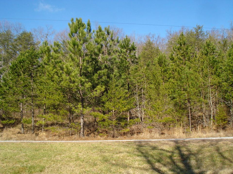 1st image of Willie Boring Cir