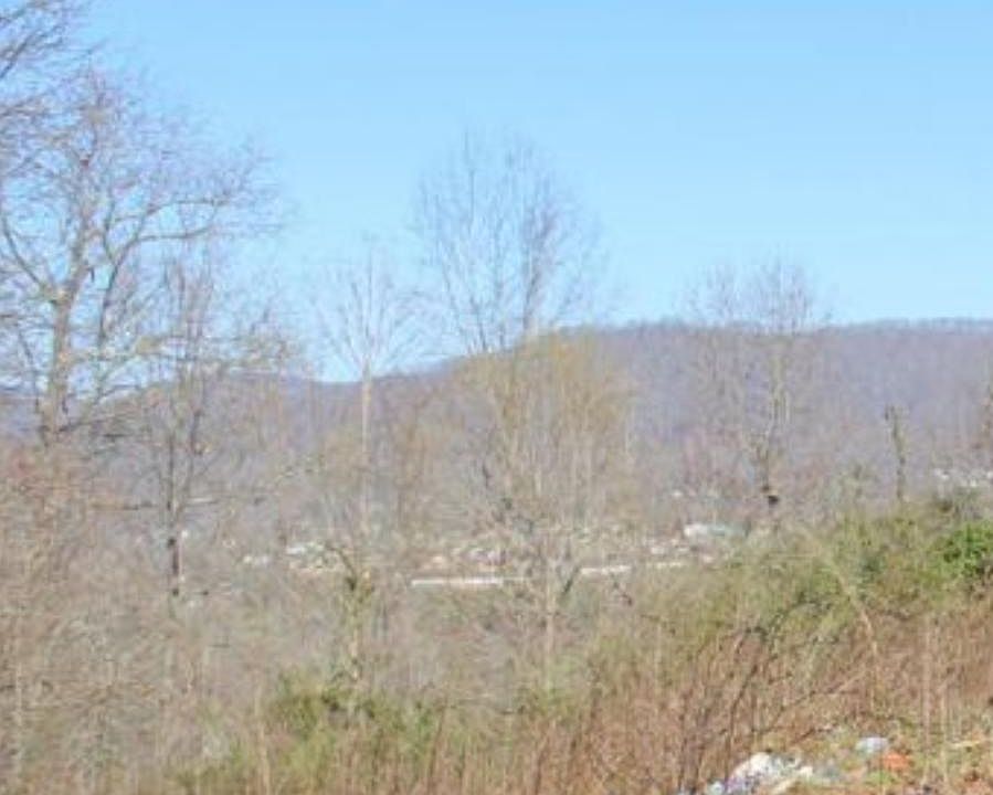 2nd image of 182 Blue Springs Rd