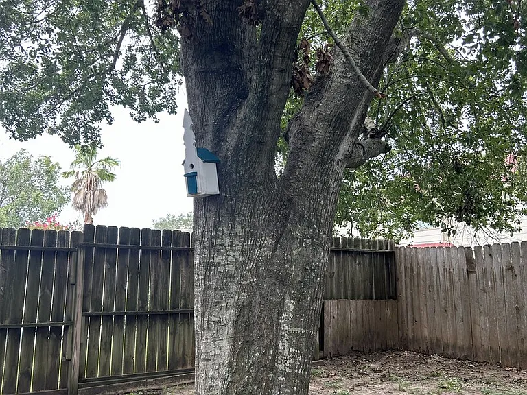 Robin Ave — Photo 18