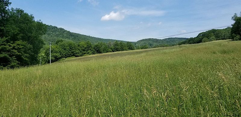 4th image of 0000 BLY HOLLOW Road