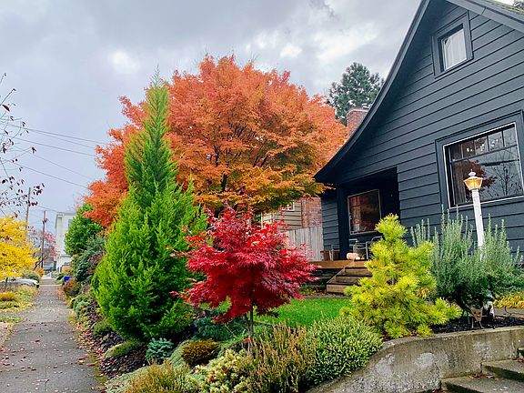 House in the fall