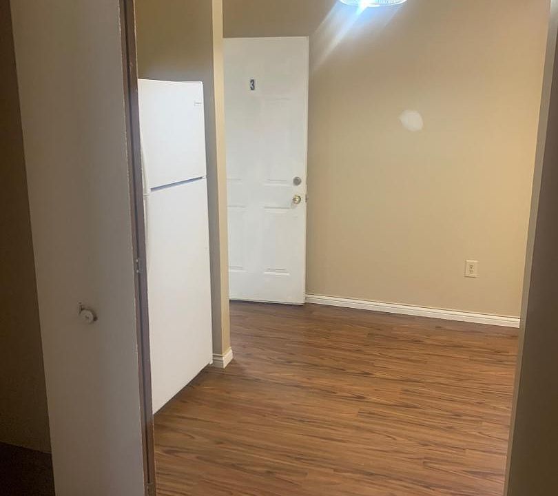 Apartment entry into kitchen