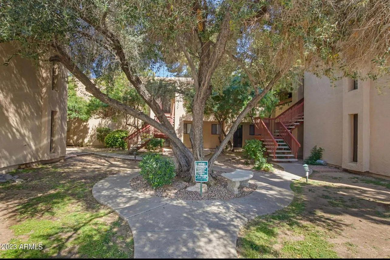 1 bed, 760 sqft, $1,250 — Photo 4