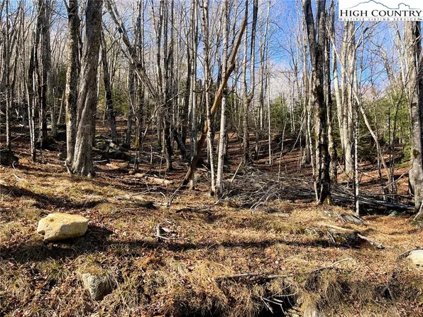 135 Lakeledge Circle, Beech Mountain, NC 28604