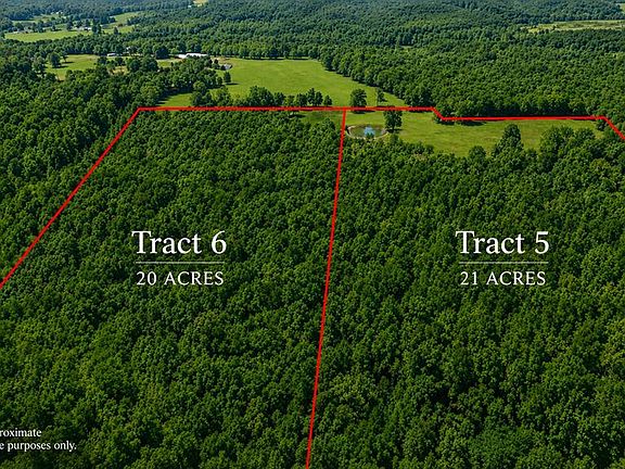 2nd image of TRACT 6 County Road 4215