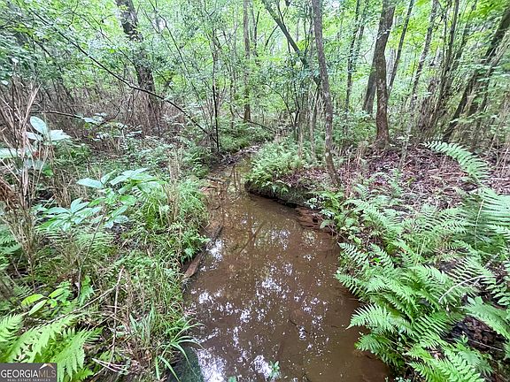 4th image of 18/ACRE S On Pope Lake Rd