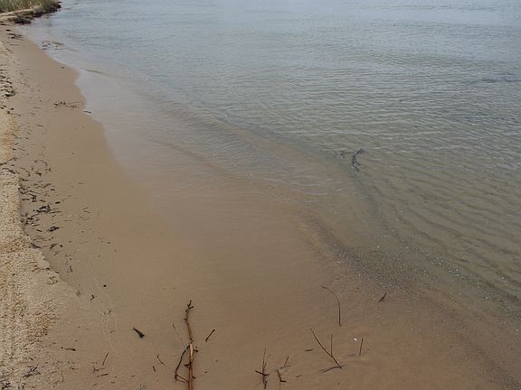 3rd image of 7748 N Cove Trl