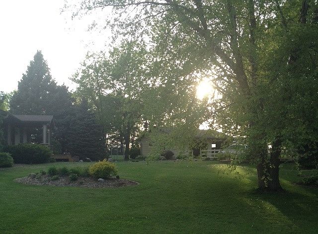 Yard