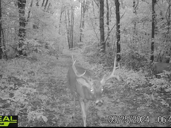 2nd image of 0 Fieldon Hollow Rd