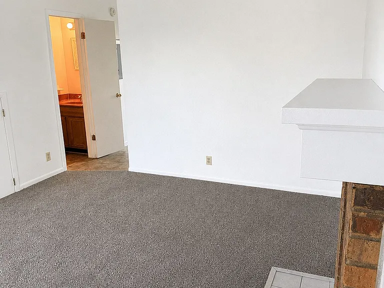 3700 Tigerbelle Dr — Photo 8