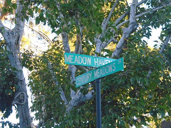 5th image of 6182 Meadowhaven Ln