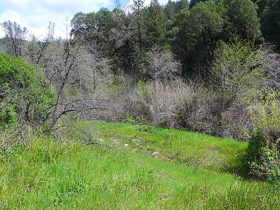 4th image of 64.6 Acres Hwy #299E
