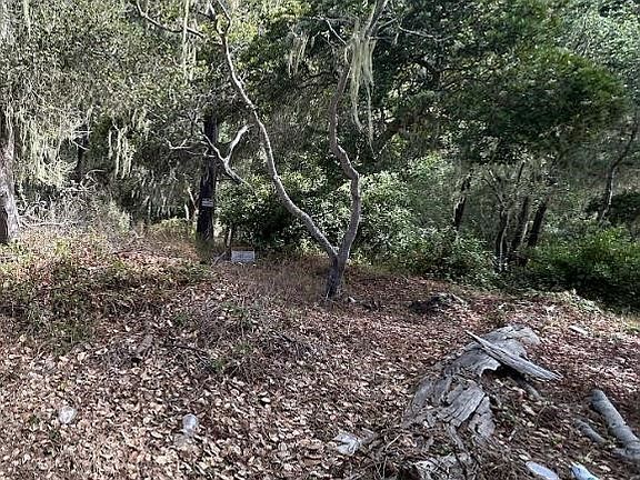 3rd image of 2977 Ramsey Rd Lot 2