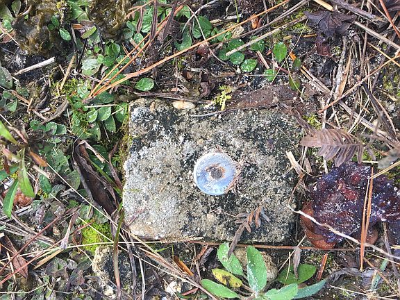 Survey marker