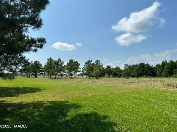 203 Bourbon Rd, Basile, LA 70515