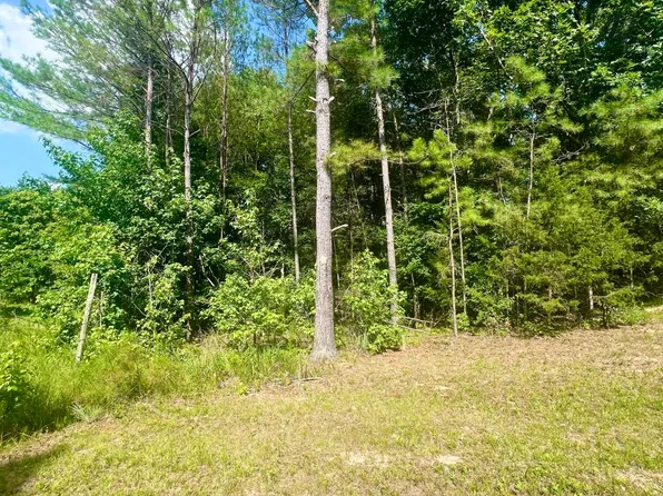 0 Old Hart Rd, Lexington, TN 38351