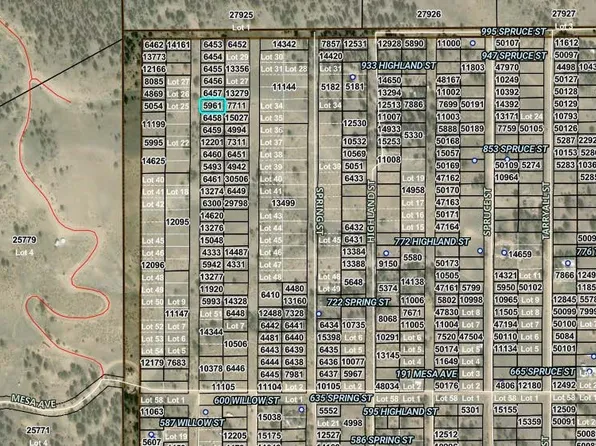 0 Willow Street, Hartsel, CO 80449