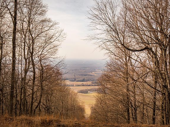 5th image of 0 Deer Run Rd