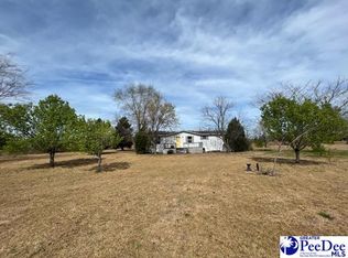 1140 Big Daddy Dr, Lamar, SC 29069