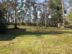 beautiful 1.5 acre yard