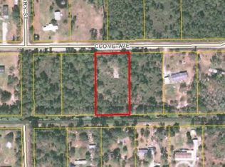 4387 Clove Ave, Bunnell, FL 32110