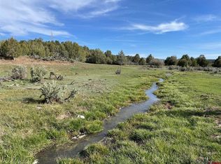 3557 County Road 307, Durango, CO 81303