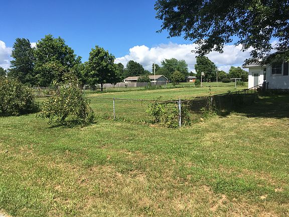 Pear & Apple trees left
