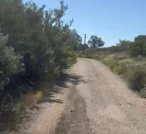 5th image of Highway 94 Campo Rd