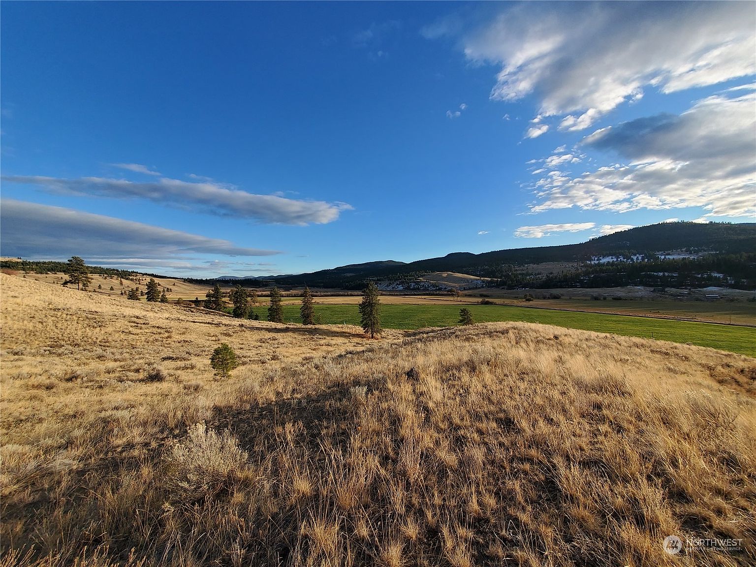 0 Lot 1 SR 20 & Aeneas Valley Road, Tonasket, WA 98855 MLS 2128147