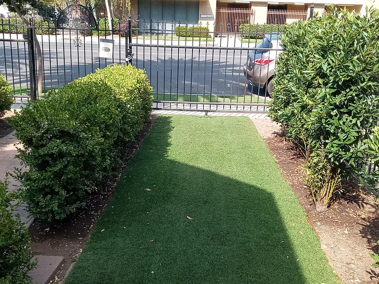 Front side yard