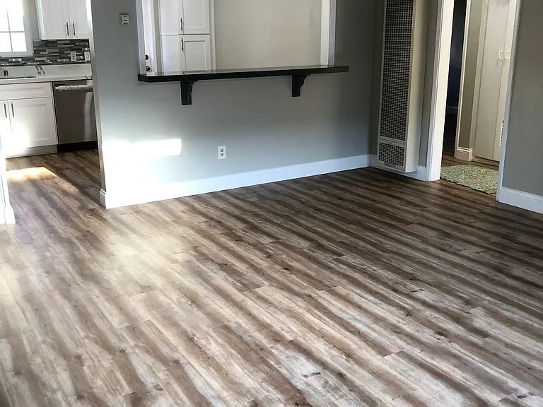 1161 Felspar St #1161 — Photo 4