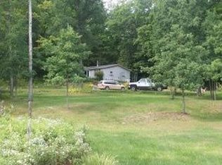 4375 Adams Rd, Indian River, MI 49749