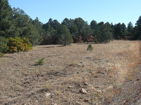 2nd image of 7662 Pass Creek Ct Unit 1