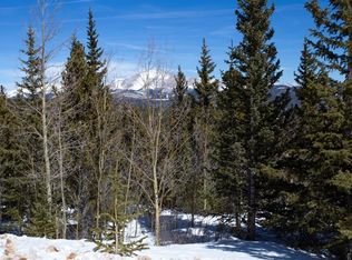462 Silverheels Pl, Fairplay, CO 80440