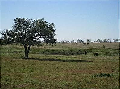 Land : acreage on County Road 144 with seven pastures, Brick