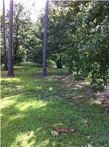 2nd image of 2 Fountains Blvd #2