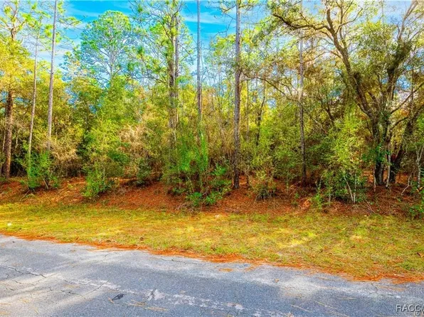 2721 W Blink Dr, Citrus Springs, FL 34434