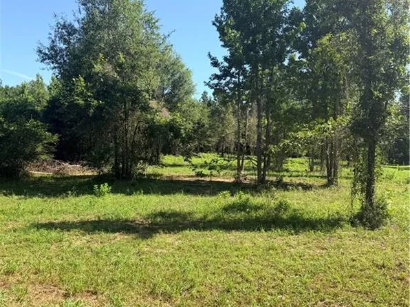 216 Hughart Rd #5, Pollock, LA 71467